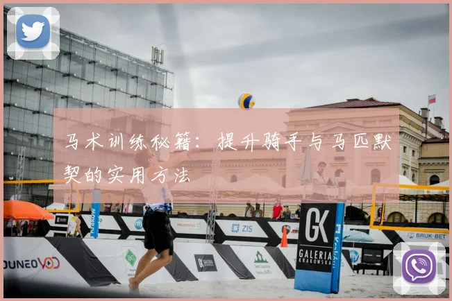 马术训练秘籍:提升骑手与马匹默契的实用方法