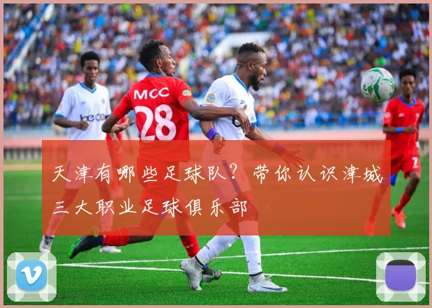 天津有哪些足球队?带你认识津城三大职业足球俱乐部