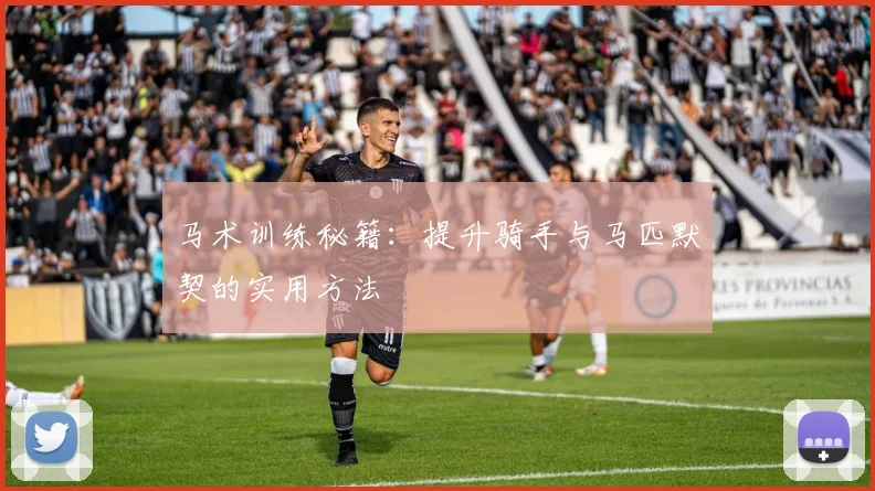 马术训练秘籍:提升骑手与马匹默契的实用方法