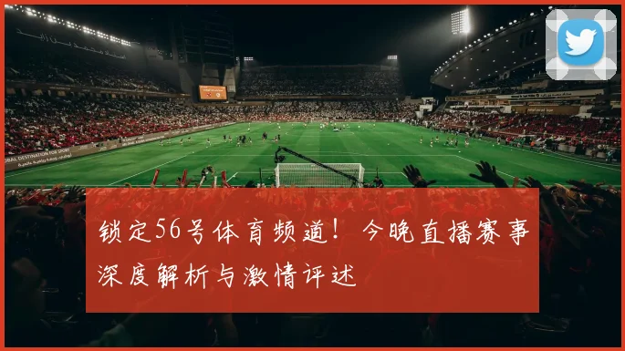 锁定56号体育频道！今晚直播赛事深度解析与激情评述